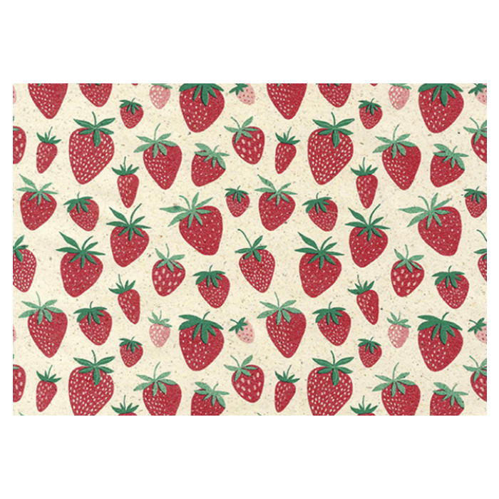 Apparaatrol Strawberry 200mx50cm