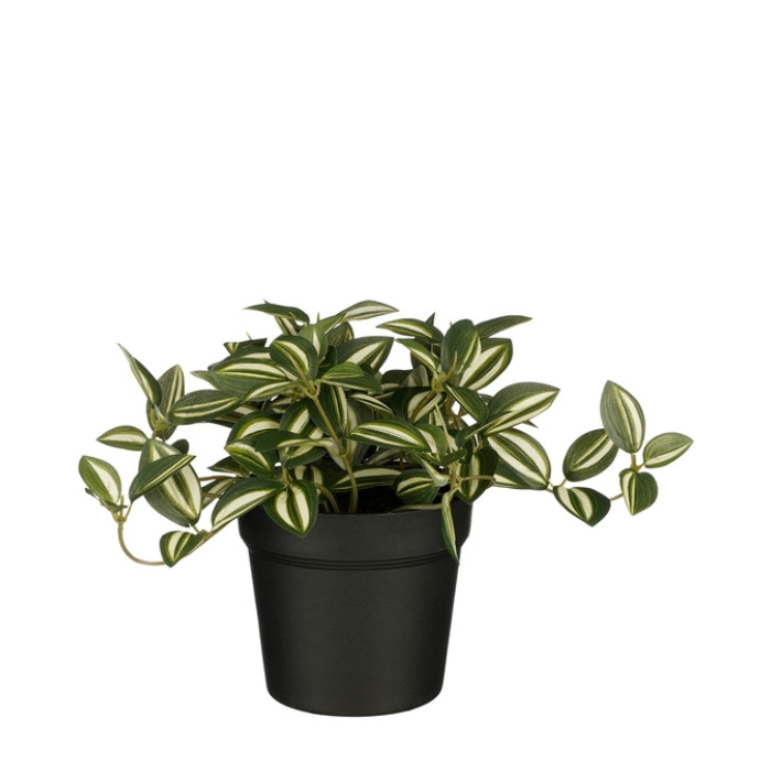 Kunstplant Mica Tradescantia in pot groen 16x16cm