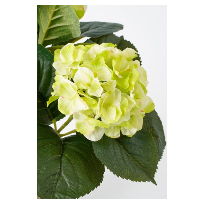 Kunstplant Mica Hortensia in pot groen Ø35 40cm