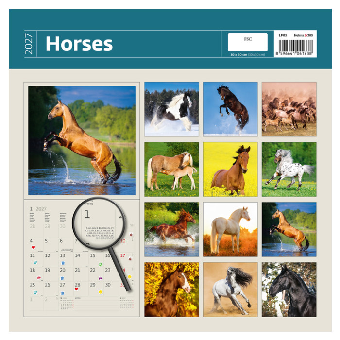 Kalender 2027 Helma 365 30x30cm paarden
