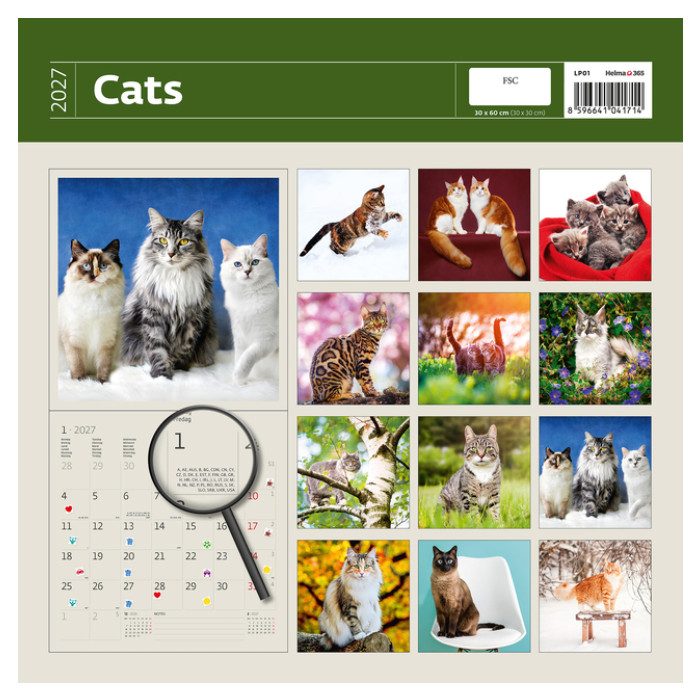 Kalender 2027 Helma 365 30x30cm katten