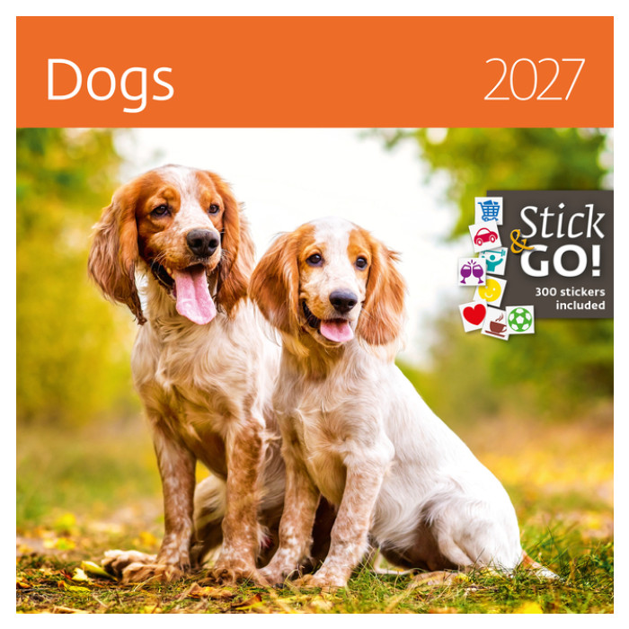 Kalender 2027 Helma 365 30x30cm honden