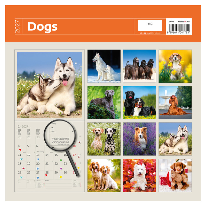 Kalender 2027 Helma 365 30x30cm honden