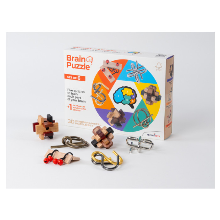 Brain Puzzles - set of 6