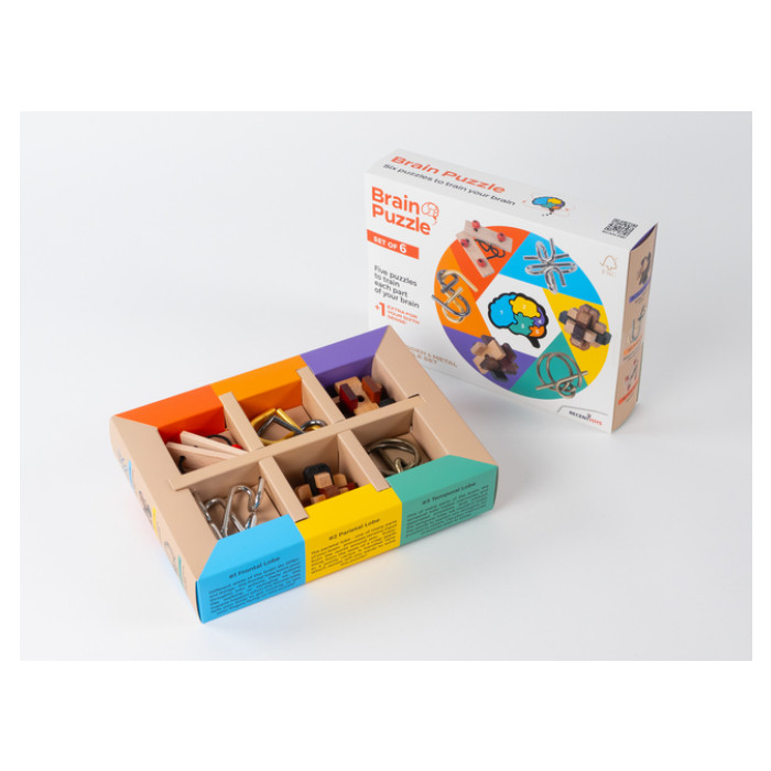 Brain Puzzles - set of 6