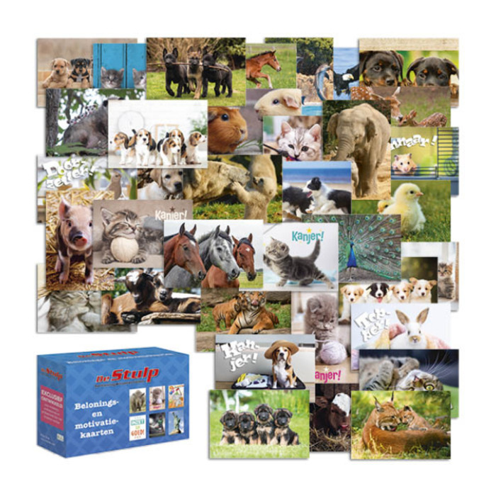 Beloningskaarten De Stulp dierenmix