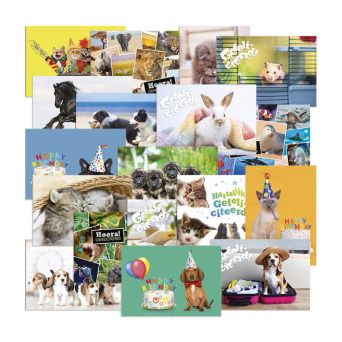 Beloningsposter-kaart De Stulp  thema dieren A4 assorti