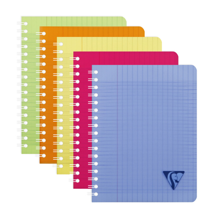 Schrift Clairefontaine Linicolor 170x220 mm séy 50 pagina's 90 gram assorti