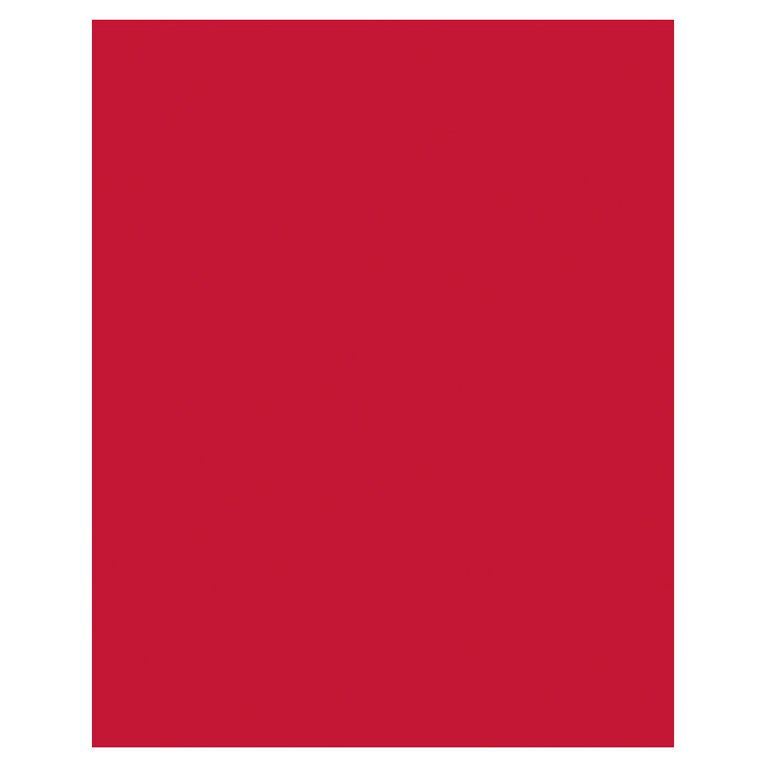 Etalagekarton Folia 1-zijdig 48x68cm 380gr nr211 rood