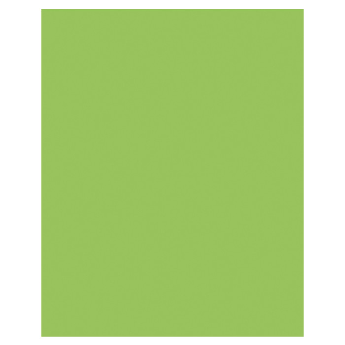 Etalagekarton Folia 1-zijdig 48x68cm 380gr nr941 fluor groen