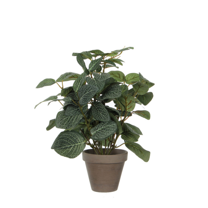 Kunstplant Mica Pilea in pot Ø11,5cm 35x25cm