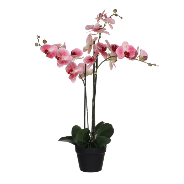 Kunstplant Mica Phalaenopsis orchideeën roze in plastic pot 79x51cm