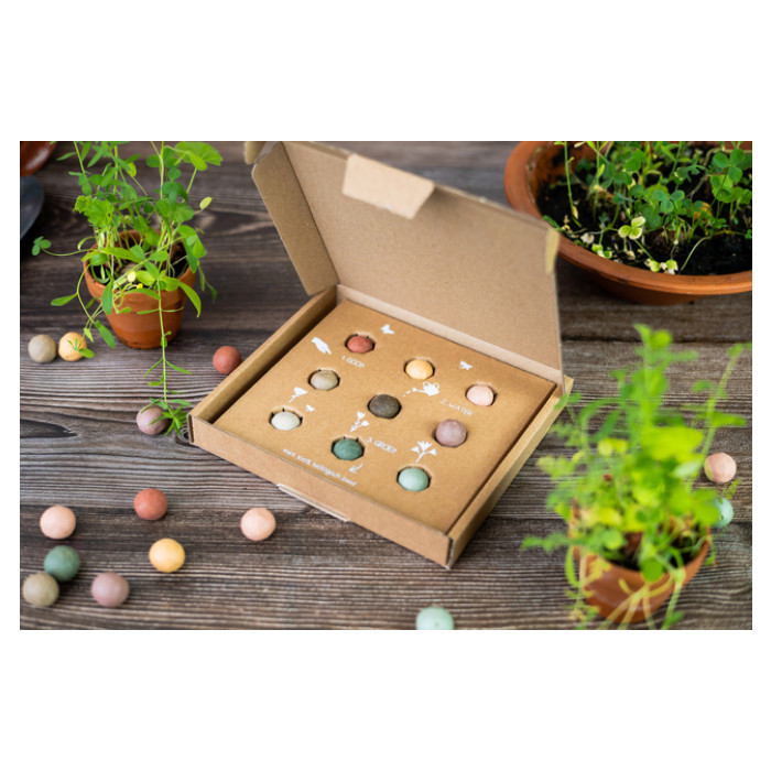 Giftbox Blossombs wilde bloemzaden box à 9 zaadbommetjes